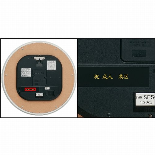 Amazon.co.jp: SEIKO セイコー 電波掛け時計 ソーラープラス［SF505W